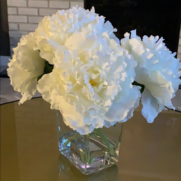 nancysuderman